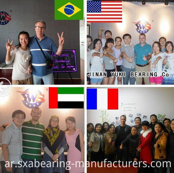 Plastic Deep Groove Ball Bearing